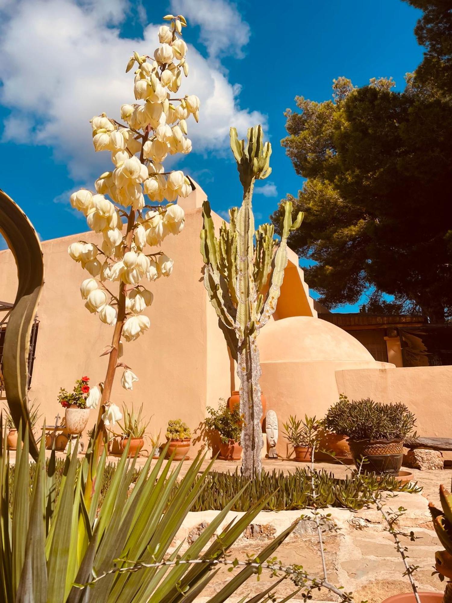 Finca Can Toni Sant Jordi de ses Salines Екстер'єр фото